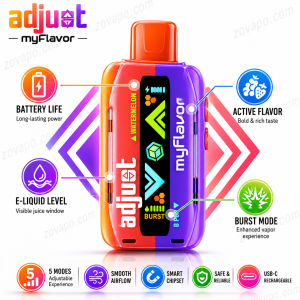 Adjust MyFlavor disposable vape