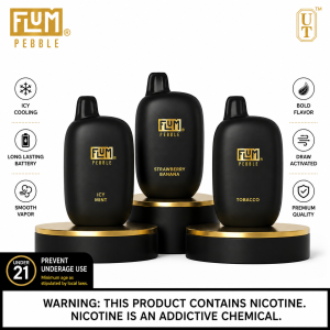 Flum Pebble disposable vape
