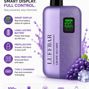 LUFF BAR TT9000 disposable vape